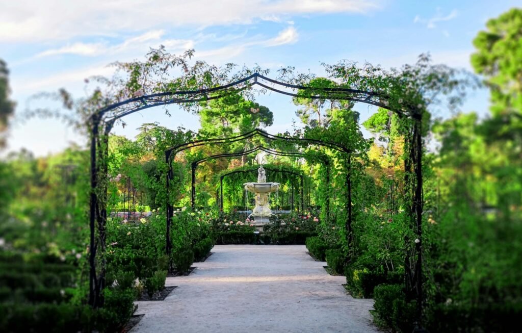 a garden with a fountain in the middle of it